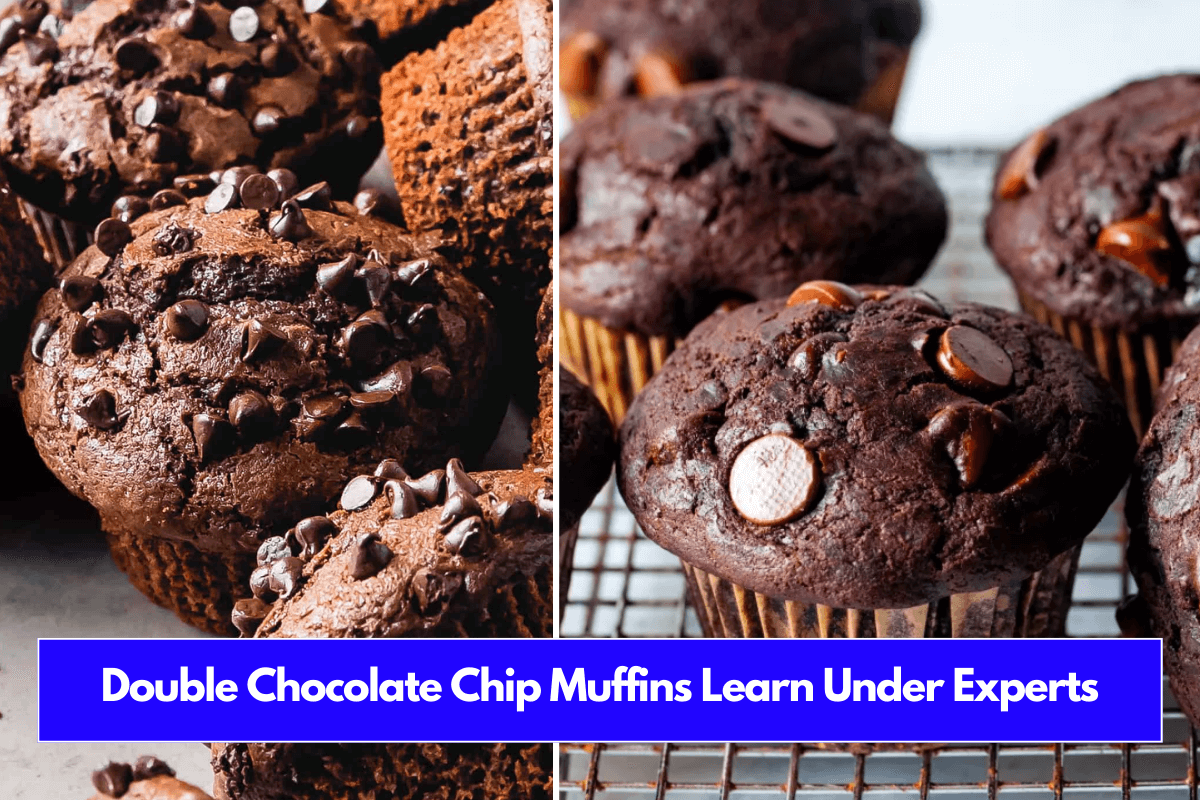 Double Chocolate Chip Muffins Learn Under Experts