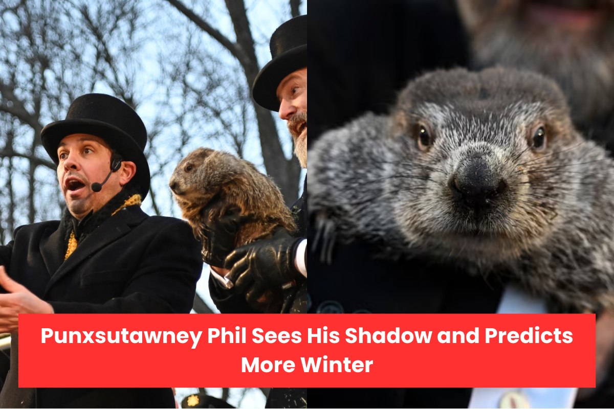 Punxsutawney Phil Sees His Shadow and Predicts More Winter